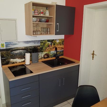 Zimmerappartement "Rose" - Ferienwohnungen Wagner & Gaul Daleiden Kültér fotó